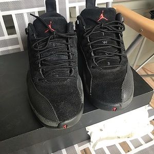Air jordan retro 12s